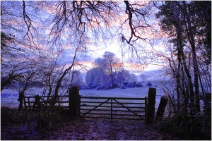 Frosty  Morning. Co. Roscommon