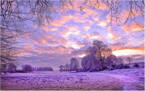 Winters Morning. Co. Roscommon