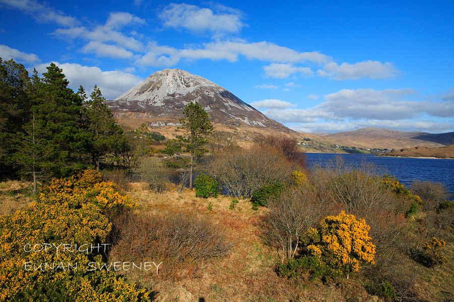 Errigal Mountain. Co. Donegal