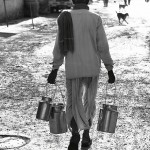 IMG_0023 Delivering milk. Pushkar. Rajasthan. India